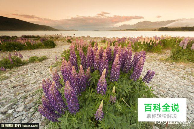 拍出漂亮风景照的秘密：渐变灰滤镜