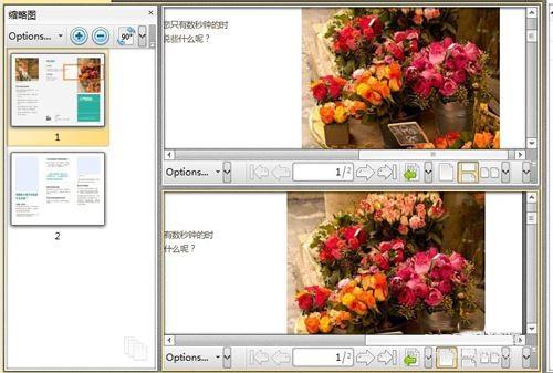 PDF编辑器中对显示页面的分割方法