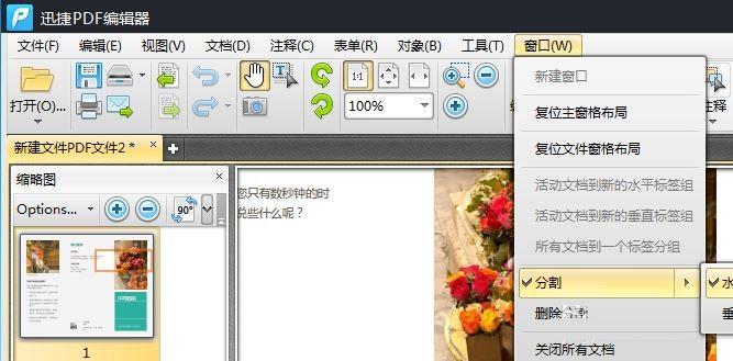 PDF编辑器中对显示页面的分割方法