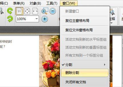 PDF编辑器中对显示页面的分割方法
