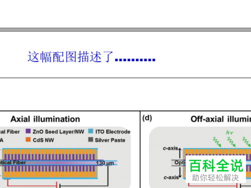 PDF文档中怎么插入文字说明