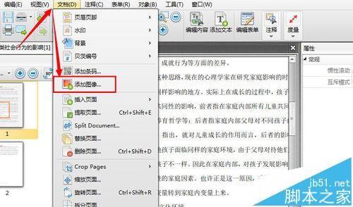 pdf文件中怎么插入图片?