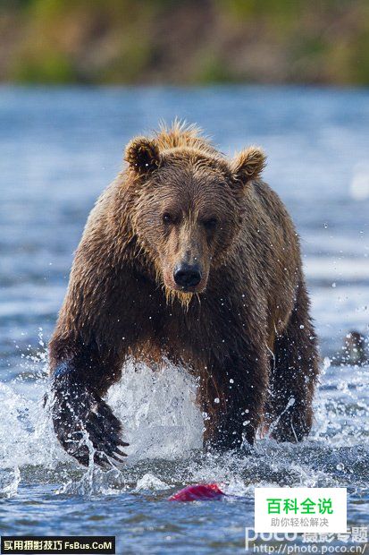 评点全球最贵的10支镜头