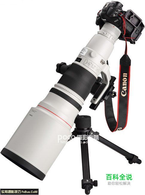 评点全球最贵的10支镜头