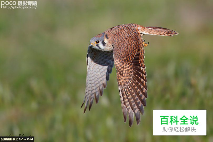 评点全球最贵的10支镜头