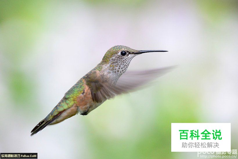 评点全球最贵的10支镜头