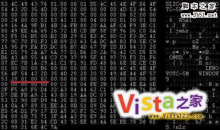 判断自己的BIOS为SLIC 2.0还是2.1