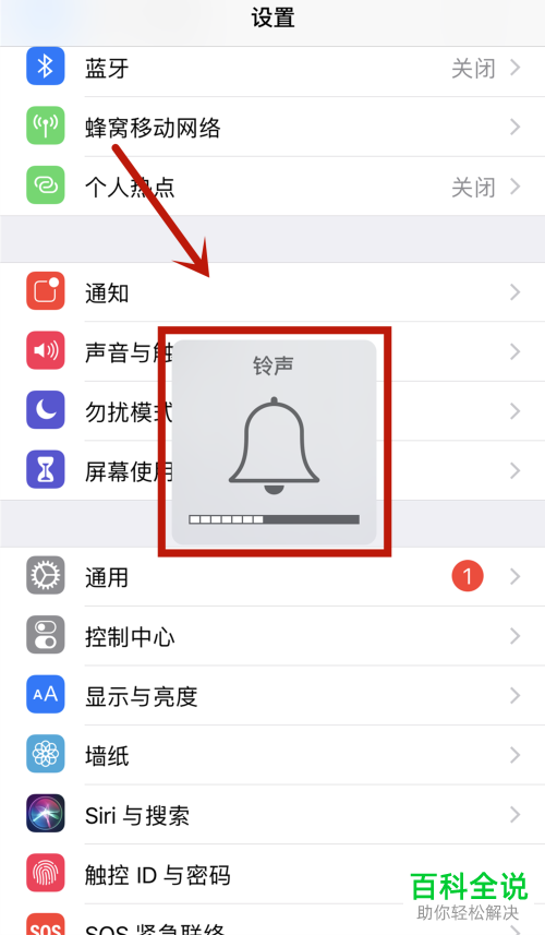 苹果/iPhone11如何打开相机声音？