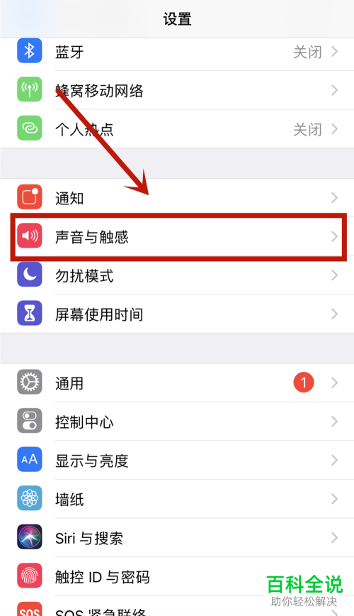 苹果/iPhone11如何打开相机声音？