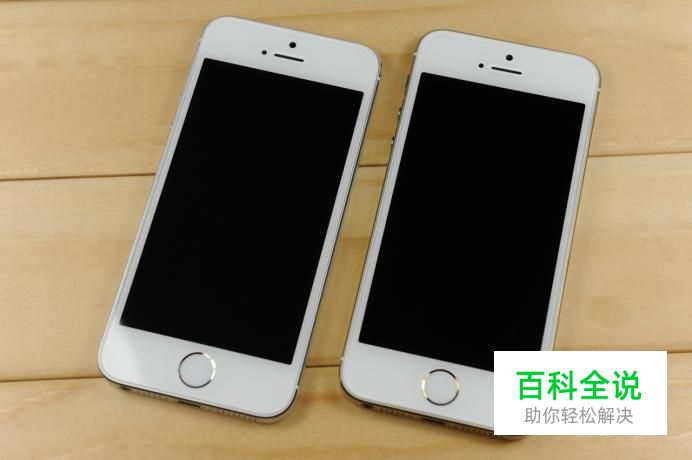 苹果5s怎么设置IP地址