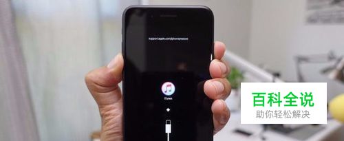 苹果6手机怎么刷机教程