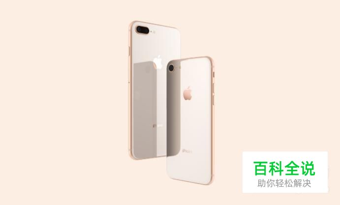 苹果6s手机怎么设置动态壁纸?