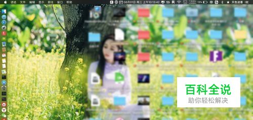 苹果笔记本怎么看自己登录的apple id