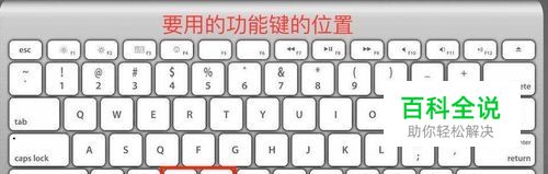 苹果电脑怎样剪切粘贴文件