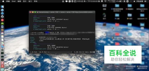 苹果电脑Mac怎样下载B站哔哩哔哩高清视频