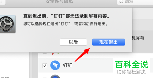 苹果电脑mac的钉钉APP中怎么把允许投屏打开