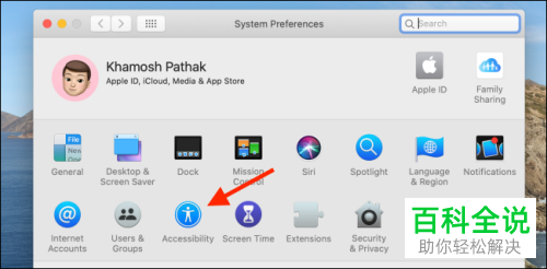 苹果的Mac电脑的灰度即黑白屏幕如何开启