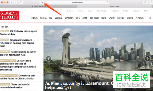 苹果电脑MacBook中怎么将Safari浏览器的英文网页一键翻译成中文