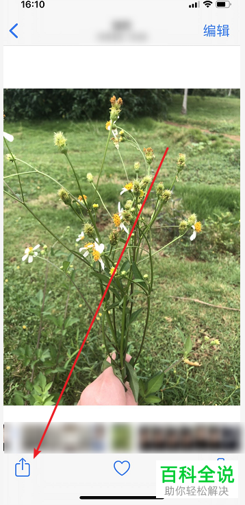 苹果iPhone手机中隐藏的照片如何取消