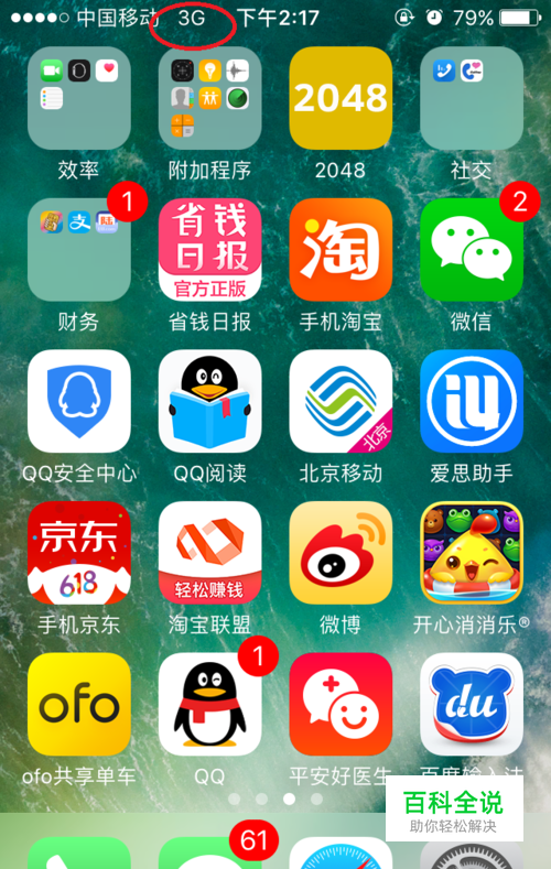 苹果iphone手机开启蜂窝数据后不显示4G怎么办？