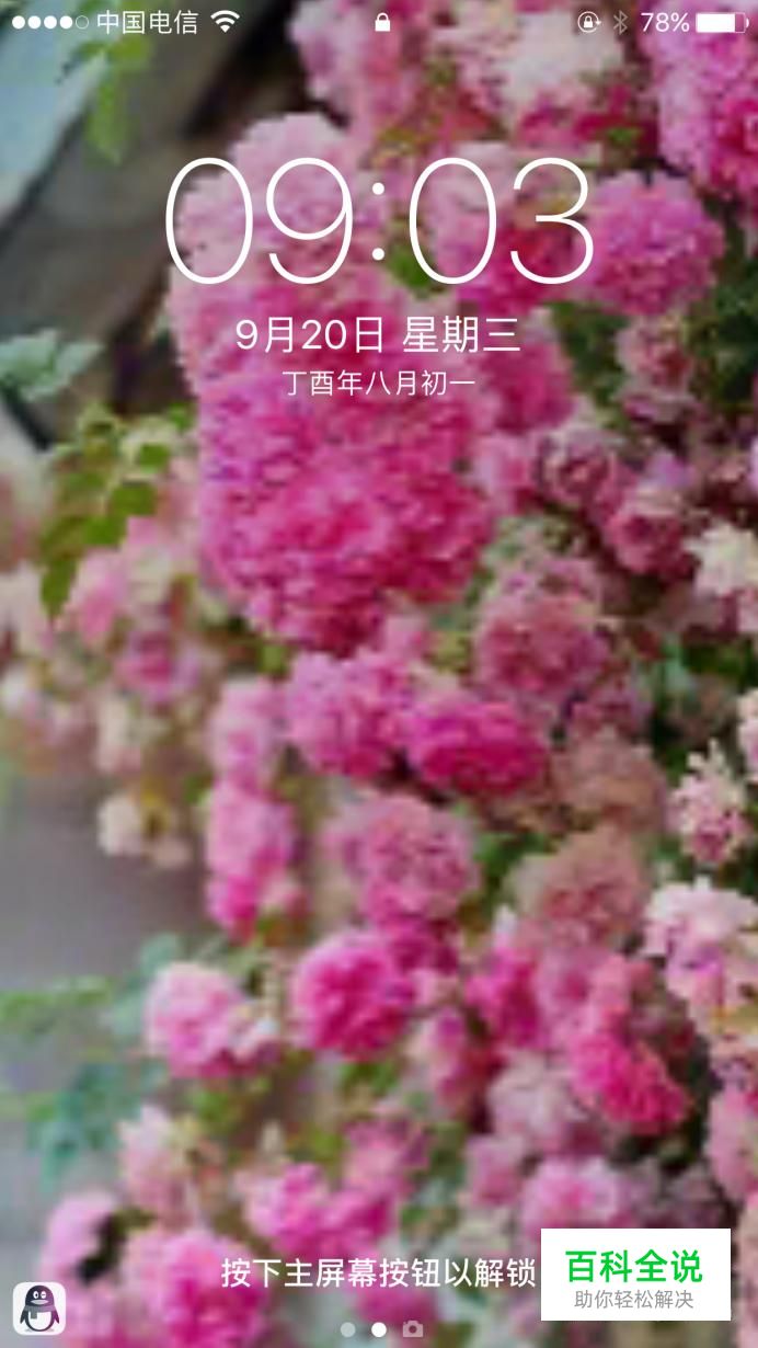 苹果iPhone手机如何修改手机桌面主题背景