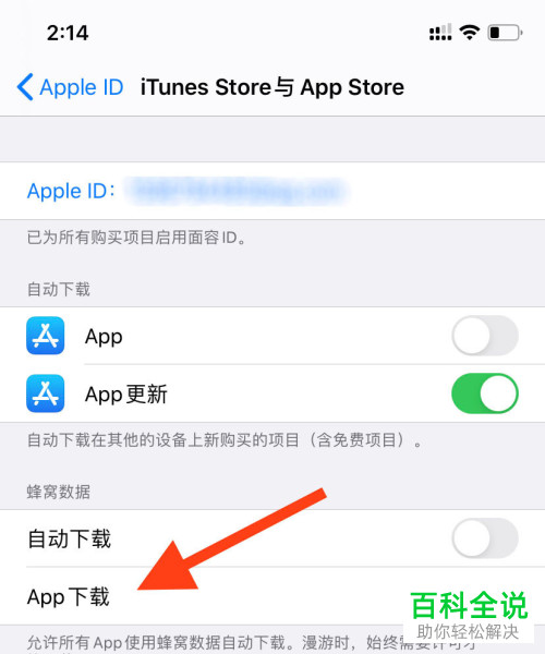 苹果iphone手机中数据下载大于200m的限制怎么取消