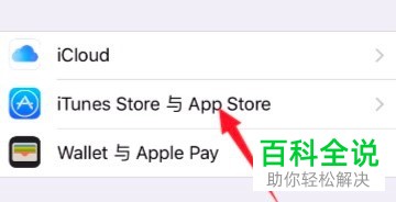 苹果iPhone手机如何设置允许流量下载