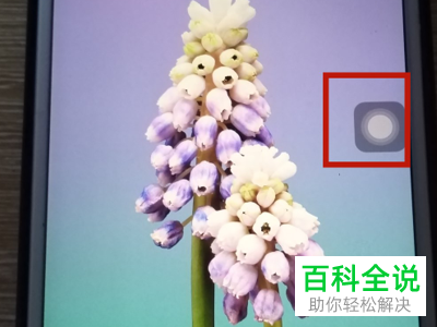 苹果iPhone手机在观看视频的时候出现卡顿怎么办