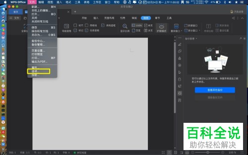 苹果MAC电脑中如何给WPS开启密码权限功能