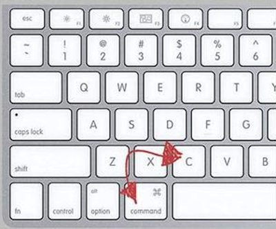 苹果Mac怎么复制粘贴 快速复制粘贴三种方法介绍