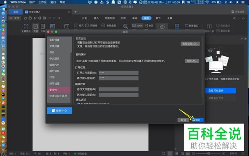 苹果MAC电脑中如何给WPS开启密码权限功能