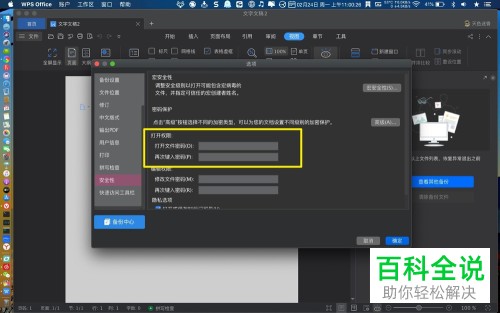 苹果MAC电脑中如何给WPS开启密码权限功能