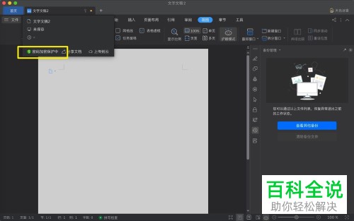 苹果MAC电脑中如何给WPS开启密码权限功能