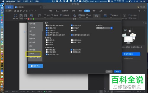 苹果MAC电脑中如何给WPS开启密码权限功能