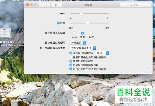 苹果mac电脑程序坞的自动显示和隐藏功能怎么使用