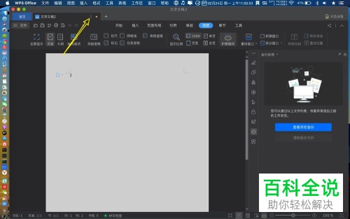 苹果MAC电脑中如何给WPS开启密码权限功能