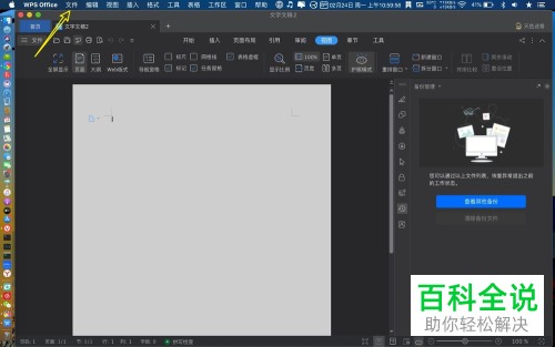 苹果MAC电脑中如何给WPS开启密码权限功能