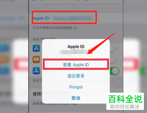 苹果手机软件自动续费订阅怎么取消