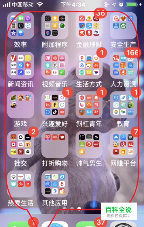 苹果手机桌面应用如何进行分类整理？