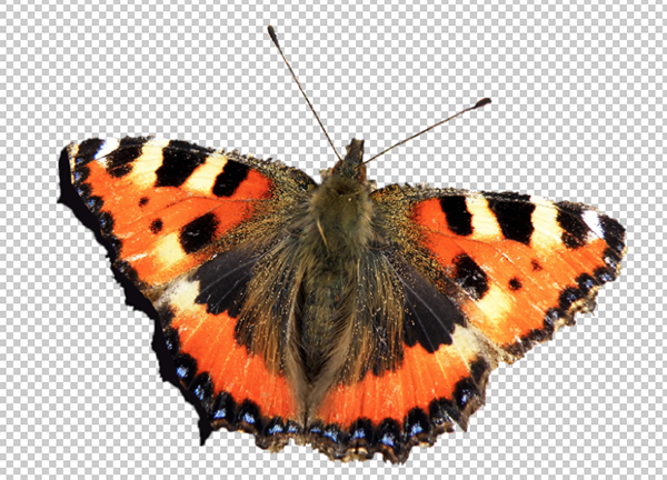 Photoshop教程之蒙版的使用技巧10则