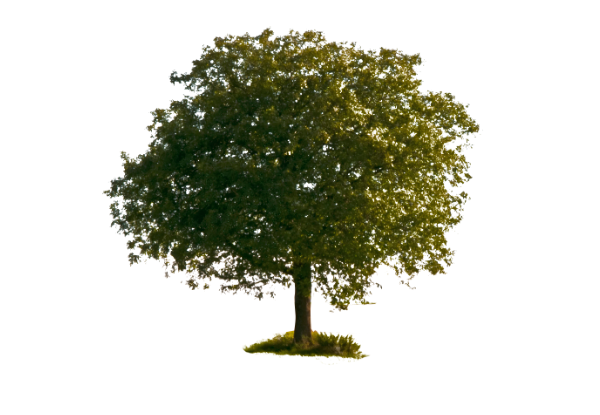 Photoshop教程之蒙版的使用技巧10则