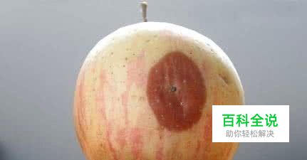 Photoshop污点修复工具使用方法