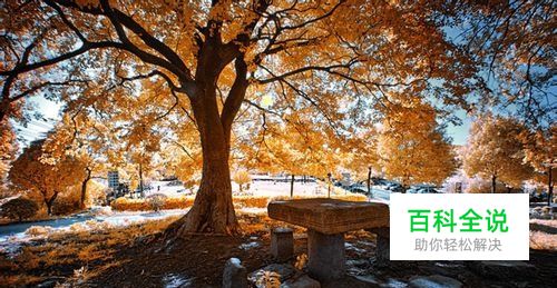 photoshop教程增加透射光实用技巧：[2]