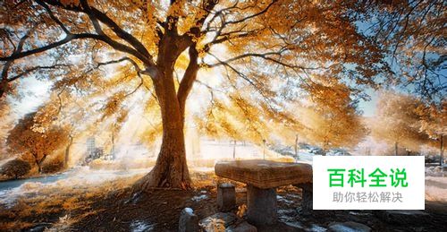 photoshop教程增加透射光实用技巧：[2]