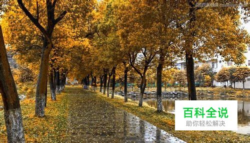 Photoshop使用HDR色调处理一张偏暗的风景照片