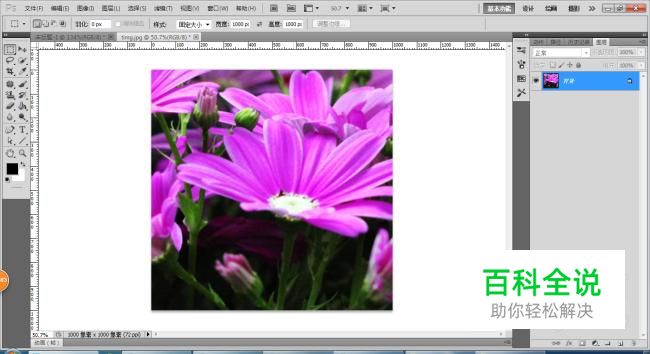 Photoshop是如何裁剪出你需要的固定尺寸
