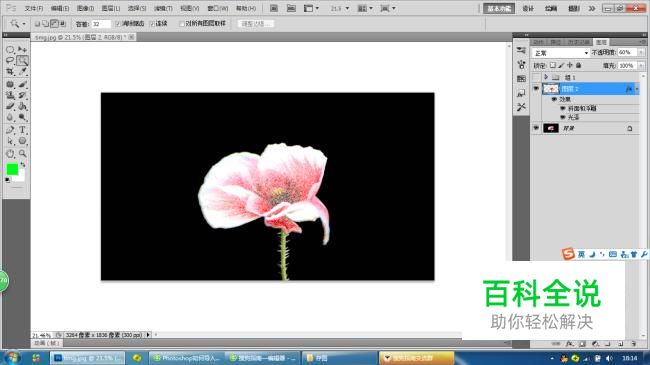 Photoshop如何制作带白点的花朵