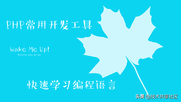 php自学教程（PHP怎么学）