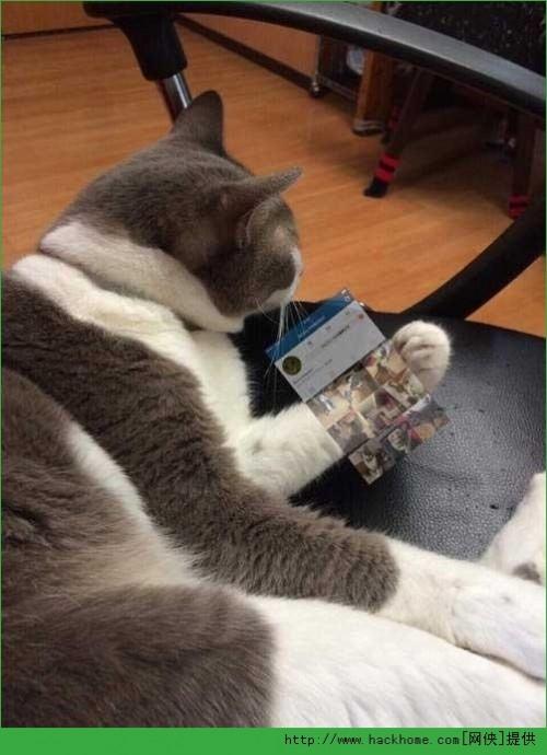 picsart各种花样有什么教程