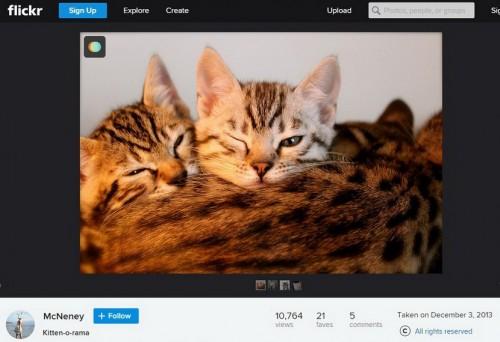 Polarr:修图利器还是盗图神器?